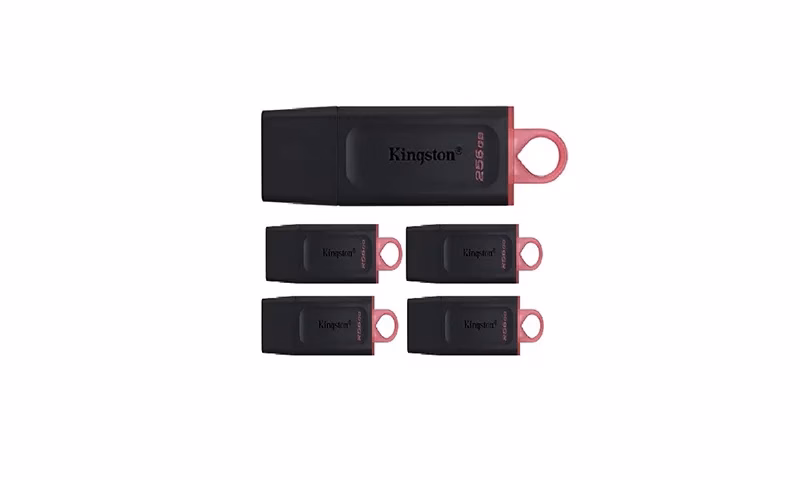 5-Pack Kingston 256GB USB 3.2 Flash Drive