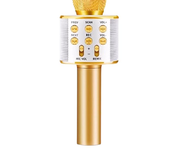 Bluetooth Karaoke Microphone Recording 3-in-1 Handheld Portable Mic Speaker | WS-858