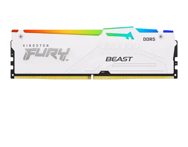 Kingston Fury Beast 16GB DDR5 RAM 5600MT/s – White | KF556C40BWA-16