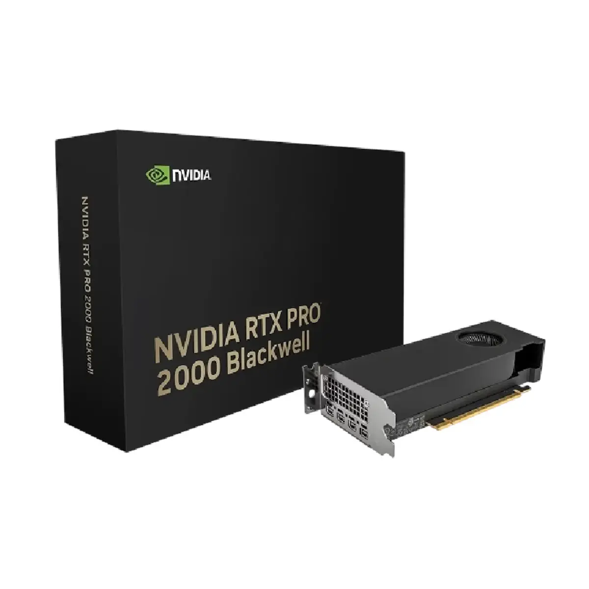 PNY GeForce RTX 2000 Blackwell 16GB GDDR7 Graphics Card | Tax Included
