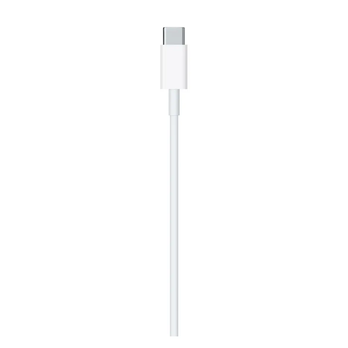USB-C to Lightning Cable (1m)