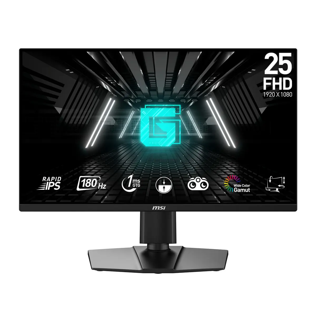 MSI G255PF E2 25″ Rapid IPS Gaming Monitor | G255PFE2